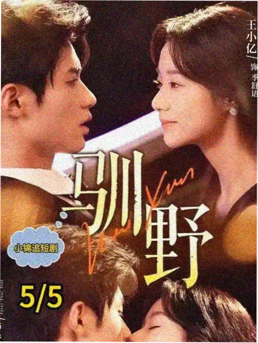 跨媒介作品定位示意